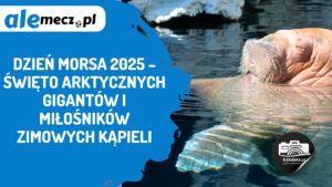 Read more about the article Dzień Morsa 2025 – święto arktycznych gigantów i miłośników zimowych kąpieli