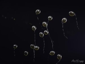 derbypodkarpacia28 300x225 1 | AleMecz.pl