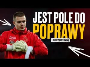 Read more about the article M. PIEKUTOWSKI: JEST POLE DO POPRAWY