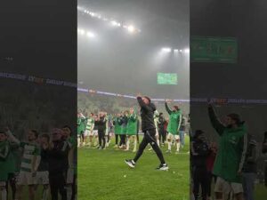 Read more about the article Prosto z murawy! 📣