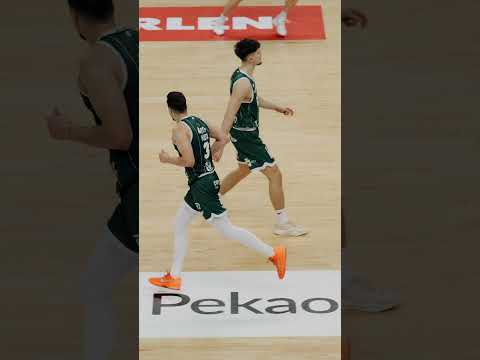 You are currently viewing Para numer 3 – Andrzej Pluta vs Zastal Zielona Góra 🕺🏿 #legia #basketball #plkpl #koszykowka #sports