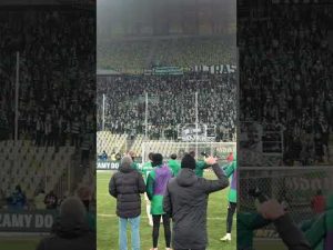 Read more about the article Tak to leciało 🎶