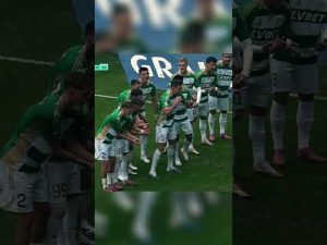 Read more about the article Ivan Zhelizko show 🎬