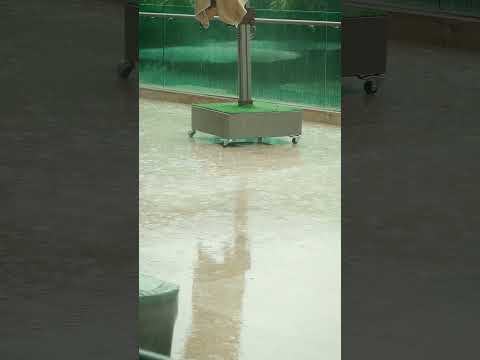 You are currently viewing Deszczowa aura 🌧️ #KurdeBelek #GórnikZabrze #Ekstraklasa