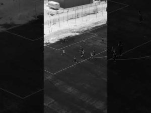 Read more about the article Kosa na posterunku 🧤⛔️