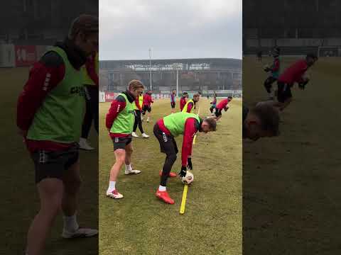 You are currently viewing DOBRA LAKIEREK NOWY NO I PAN PAWEŁ, NO KUR.. CZĘ! ♥️  #football #panpawel