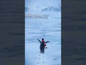 Read more about the article Przed siebie 🤍❤️