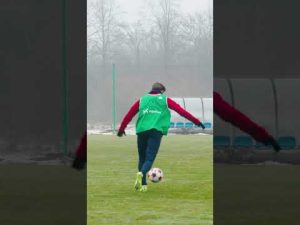 Read more about the article Pracowicie 👊