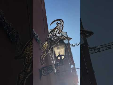 Read more about the article Are you ready? #LPOLGD