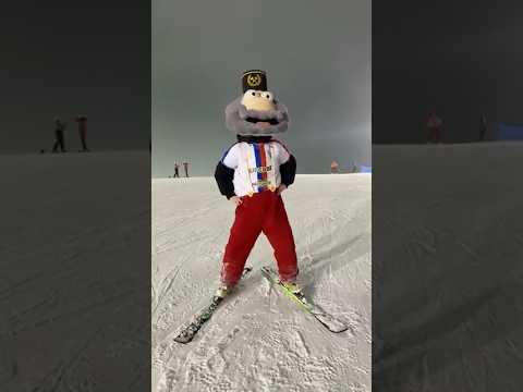 You are currently viewing Jorguś w formie ⛷️ #górnikzabrze #ski #football