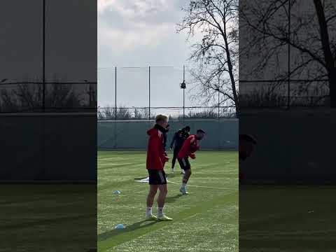 You are currently viewing IDZIE WIOSNA, CZAS NA ZWYCIĘSTWO! 💪