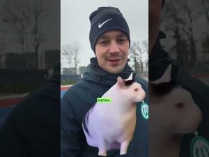 Read more about the article Sezonowców tu nie ma 🏒🎿🥌 #wartapoznań #piłkanożna #milanocortinaolympics2026 #winterolympics