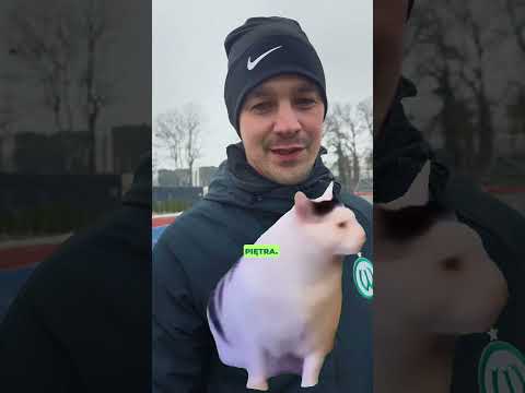 You are currently viewing Sezonowców tu nie ma 🏒🎿🥌 #wartapoznań #piłkanożna #milanocortinaolympics2026 #winterolympics