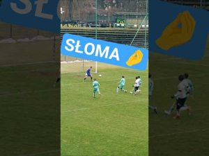 Read more about the article Zimna krew 🧘 #podbeskidzie #football #piłkanożna #tsp #bielskobiała #golazo #goals #gkskatowice