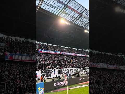 Read more about the article CHŁOPCY Z ZABRZA ⚒️ #górnikzabrze #football #fans