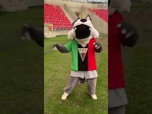 Read more about the article Taki nastrój u Tyska, bo już w piątek wraca ligowe granie! ⚽️