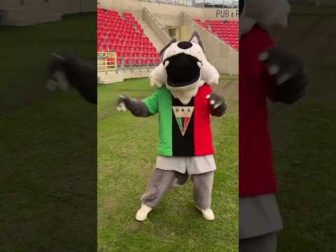 Read more about the article Taki nastrój u Tyska, bo już w piątek wraca ligowe granie! ⚽️