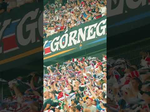 You are currently viewing Urodziny Torcidy! ⚒️ #górnikzabrze #football #fans
