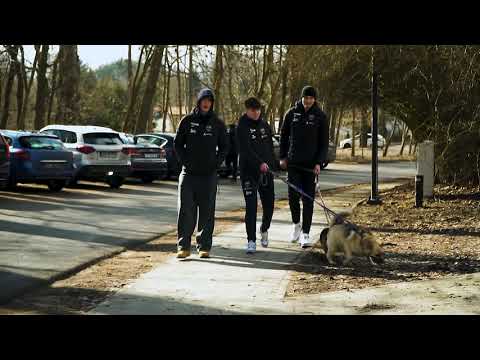 You are currently viewing Finał akcji „Wyciągamy łapę dla Schroniska!”