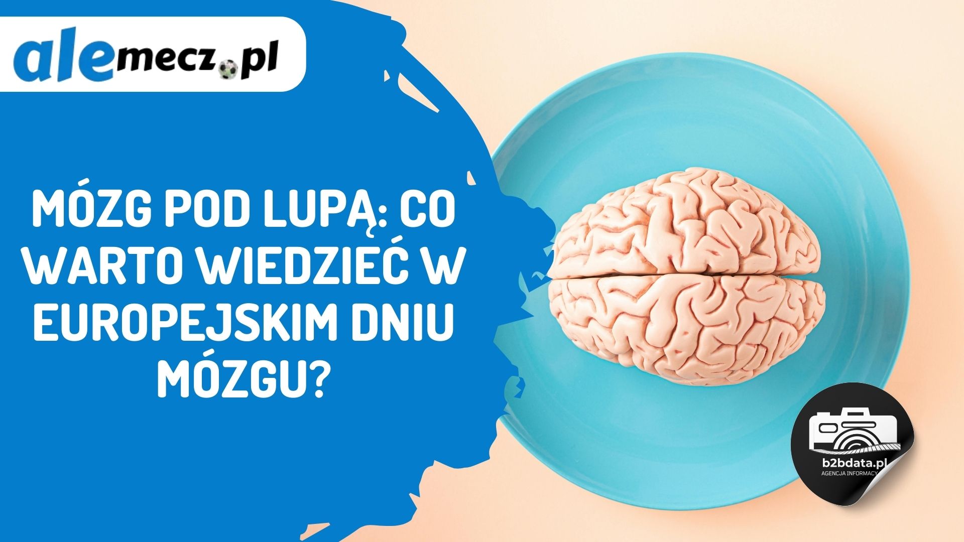 Read more about the article Mózg pod lupą: co warto wiedzieć w Europejskim Dniu Mózgu?