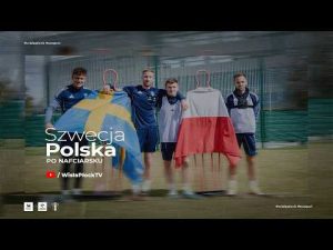 Read more about the article Szwecja – Polska po nafciarsku