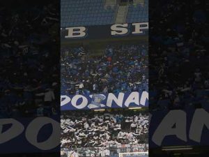 Read more about the article Let’s all do The Poznań 🙌🏻🙌🏻 #lechpoznań #football #fans #thepoznan