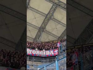 Read more about the article Torcida w Poznaniu! 👏 #górnikzabrze #football #pucharpolski