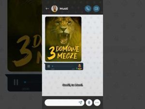 Read more about the article Masz nową wiadomość od #gdańskiegolwa 📲 | Energa Trefl Gdańsk #Shorts