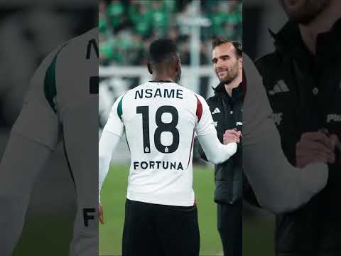 You are currently viewing LEW WRÓCIŁ! #legiawarszawa #welcomeback