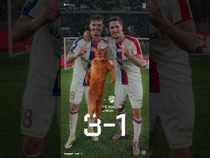 Read more about the article Radost 😇 #górnikzabrze