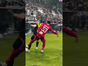 Read more about the article KASZEBE ZNACZI ARKA