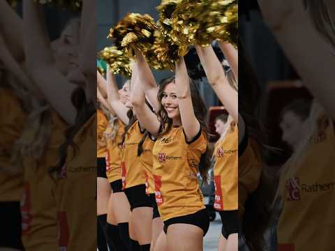 Read more about the article Kulisy ostatniego domowego meczu rundy zasadniczej 🦁🏐 | Energa Trefl Gdańsk #Shorts