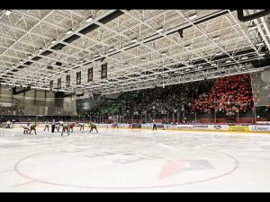 Read more about the article ” Kibice dali nam niesamowitą energię” – Wypowiedzi po meczu GKS Tychy – Zagłębie Sosnowiec 4:0