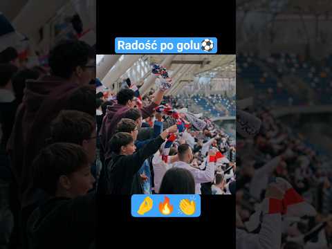 Read more about the article Podbeskidzie ‼️Parara rara‼️#kibice #piłkanożna #podbeskidzie #ultras #footballfans #fyp #dlaciebie