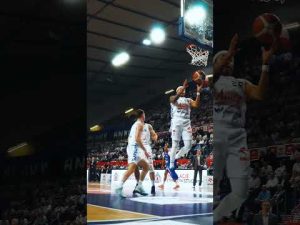 Read more about the article Lango łatwo do góry! 🥰