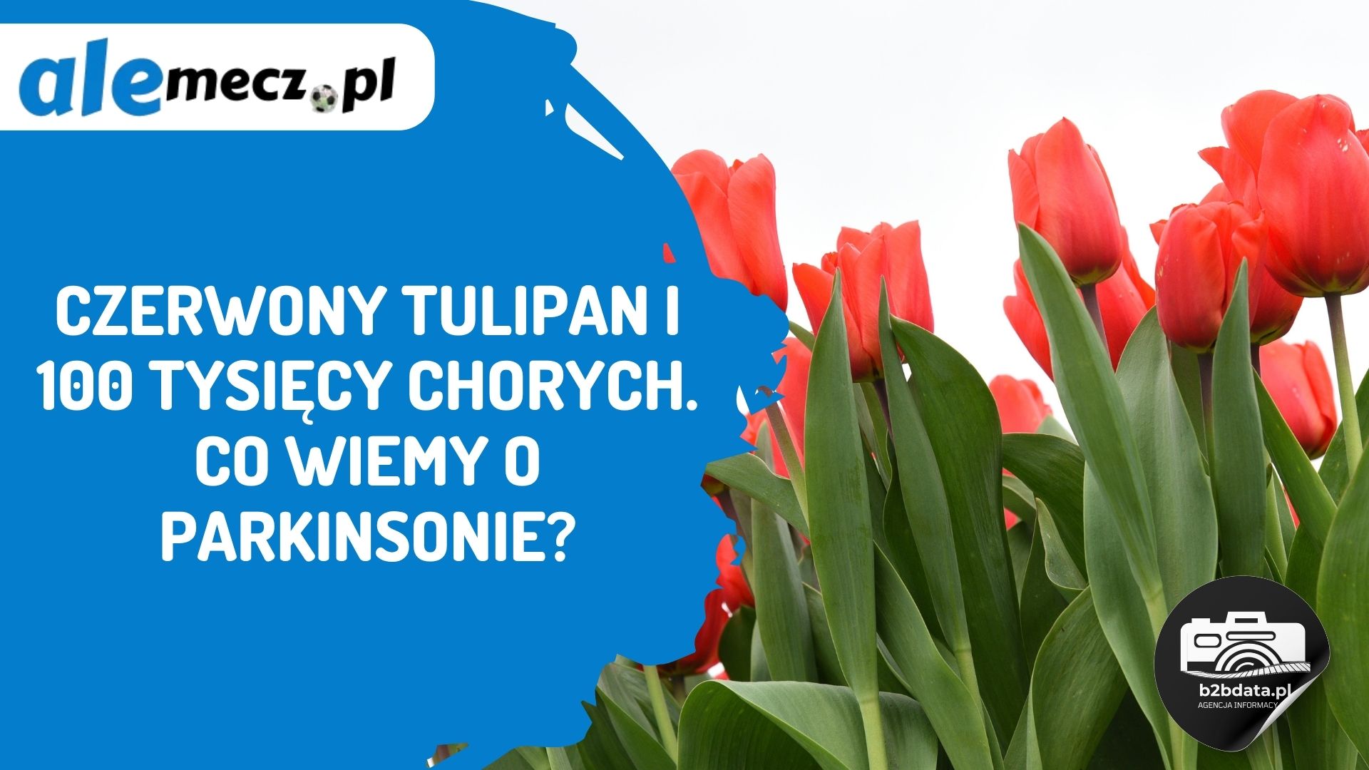 You are currently viewing Czerwony tulipan i 100 tysięcy chorych. Co wiemy o Parkinsonie?