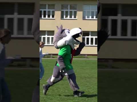 You are currently viewing Trójkolorowi przejęli Świerczyniec! Wilk zaprosił na mecz z Ruchem