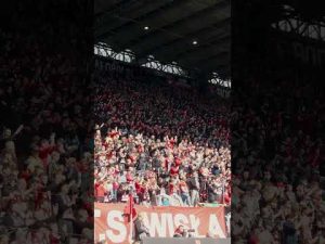 Read more about the article Wrócisz silniejszy, Angel 🙌