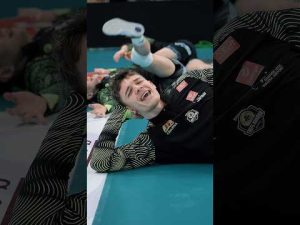 Read more about the article Treflośmieszki 2025/2026, czyli #gdańskielwy na wesoło 😂 | Energa Trefl Gdańsk