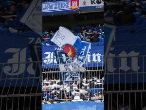 Read more about the article LET’S ALL DO THE POZNAŃ 🔵⚪️ #lechpoznań #football #fans #shorts