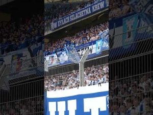 Read more about the article Cała Polska wie, jak Kolejorz bawi się 👏🏻👏🏻 #lechpoznań #football #fans #shorts #ekstraklasa