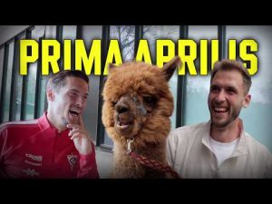 Read more about the article DLACZEGO UKRADŁEŚ MI ALPAKĘ? [PRIMA APRILIS]