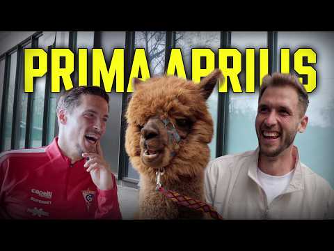 You are currently viewing DLACZEGO UKRADŁEŚ MI ALPAKĘ? [PRIMA APRILIS]