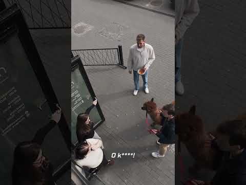 You are currently viewing UKRADŁ ALPAKĘ? 😳 #górnikzabrze #prank