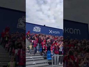 Read more about the article 👏 JACEK MAGIERA 👏