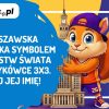 AleMecz kosz wawa 3x3 1 | AleMecz.pl