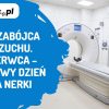 AleMecz dzien raka nerki | AleMecz.pl