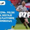 AleMecz PZPN | AleMecz.pl