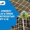 AleMecz pila reczna mistrzowska 18 | AleMecz.pl