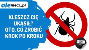 Read more about the article Kleszcz Cię ukąsił? Oto, co zrobić krok po kroku